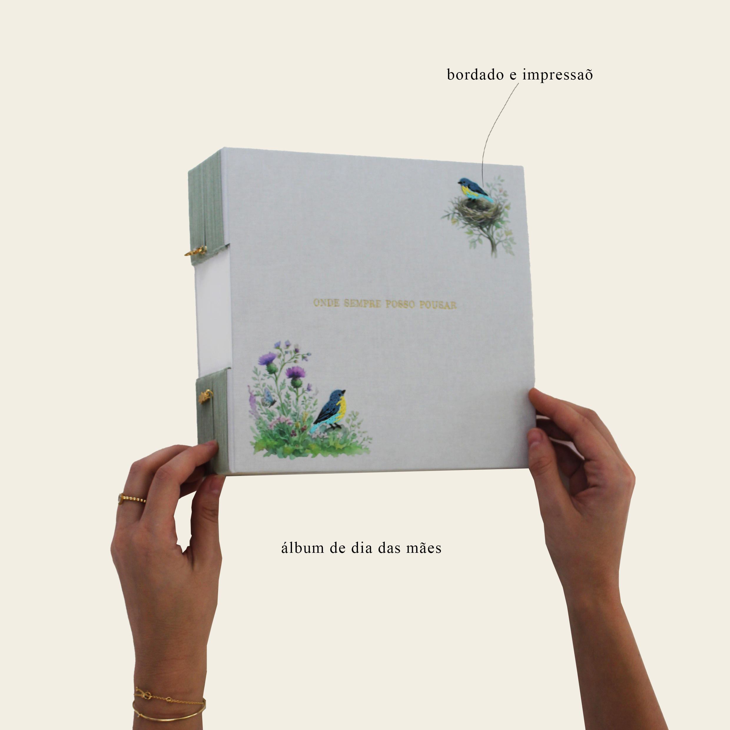 ÁLBUM NINHO E PÁSSAROS