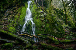 Goldstream Waterfall
