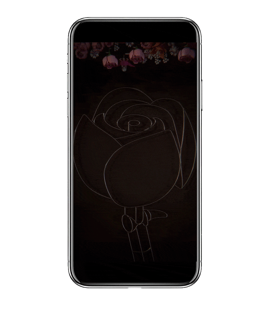 insta_video_2.gif