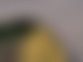 知っておきたい知識その2