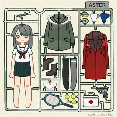 ASTER框架.jpg