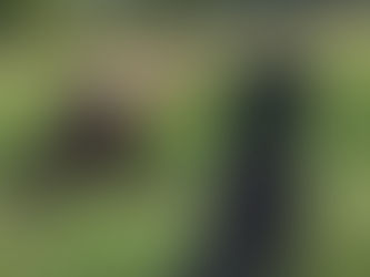 Das Gesäß im Yoga – Kraft aus der Mitte🍑