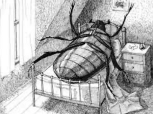 DEJAR DE SERVIR ES DEJAR DE EXISTIR: Una reflexión con Kafka, Weber y Arendt.