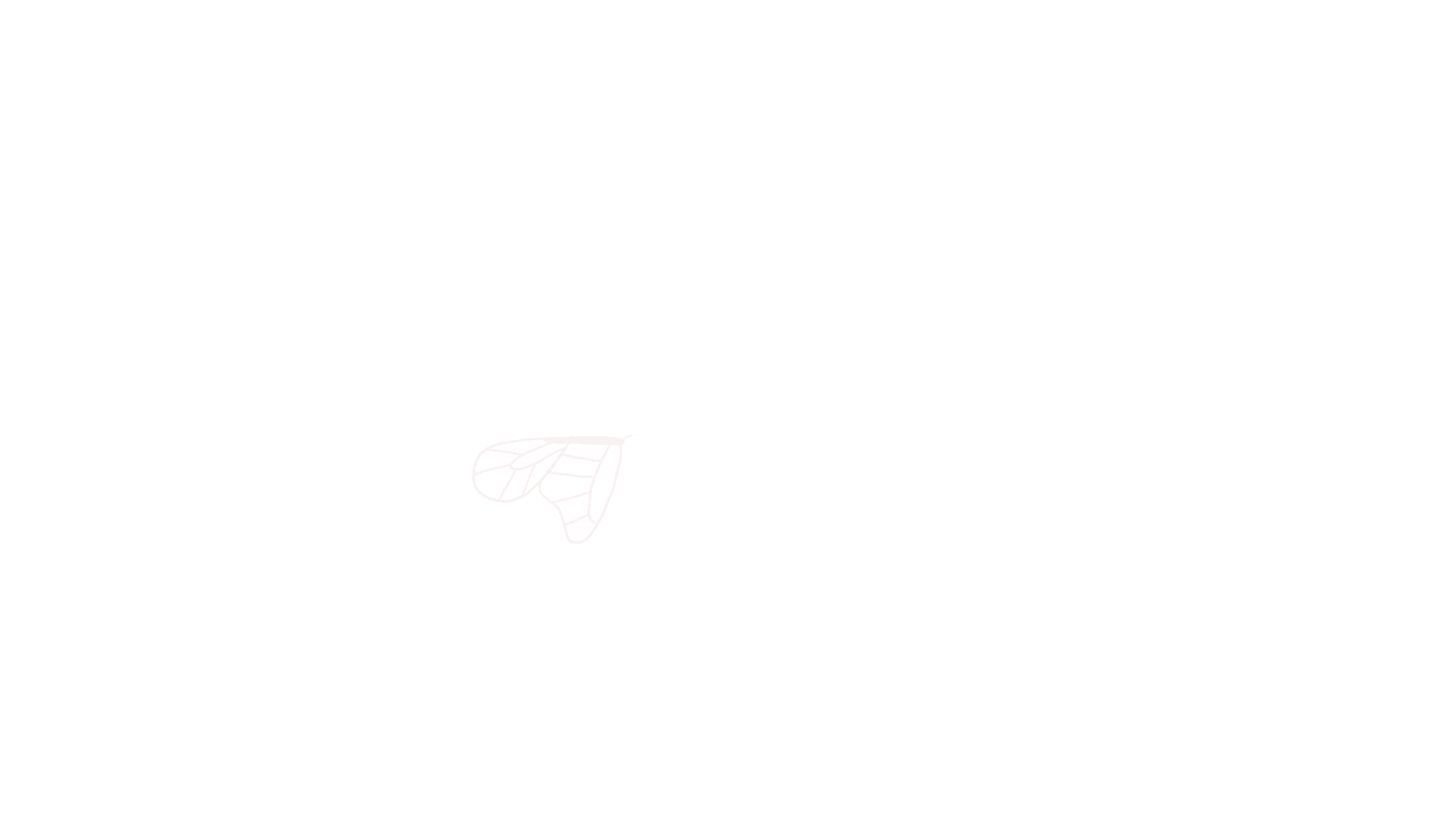 Butterfly4.gif
