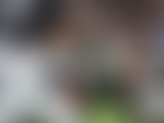 2026 Jacksonville Jaguars in Three Players