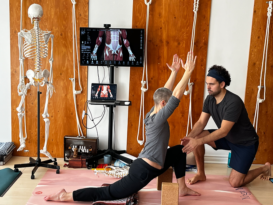formation yoga anatomie physiologie et adaptation