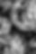 _RMO9372-rmstudiocorp_edited.jpg
