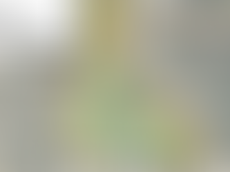 600-home mixed-use development advances in buzzing North Carolina town