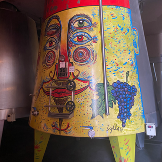 Alfa Crux Bodega, Mendoza Argentina