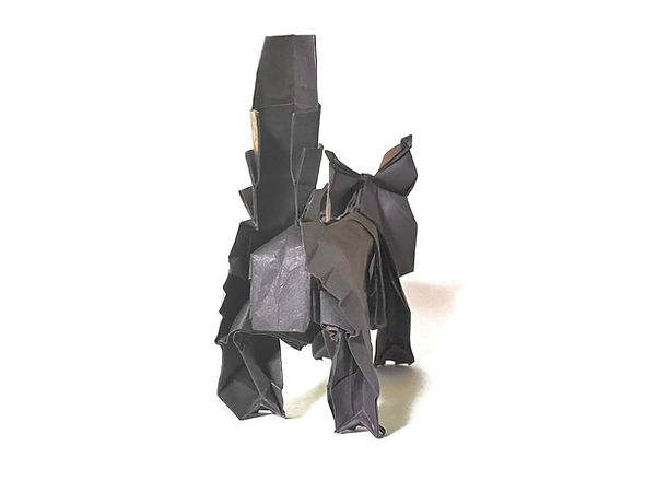メインクーン 折り紙 Maine Coon Origami