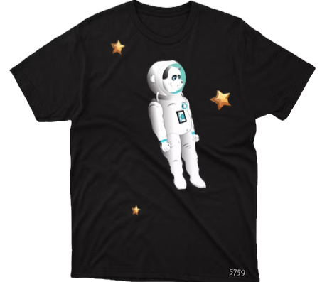 Star Seeker : Item 1 of 1