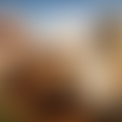 Supreme Court on Section 7 IBC Admission and Homebuyer Society Locus: Elegna Co-op vs Edelweiss