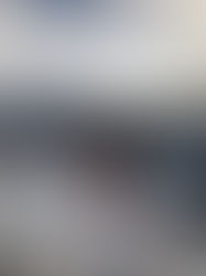 Black Bear Community Award - Will Barcelo