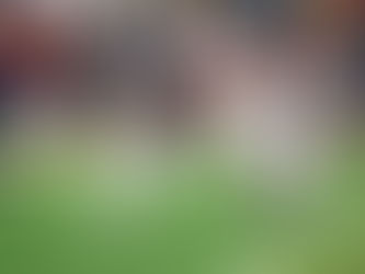 Two Bulldogs Earn AFCA NAIA All-American Honors