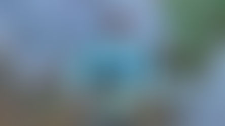 The Light Of Alaska: UMW Student Colton Folts Completes Internship At Snettisham Hatchery