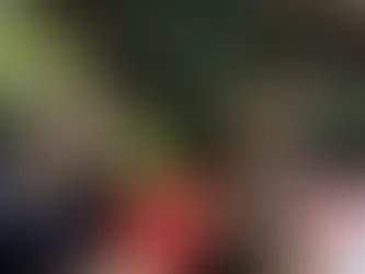 Bulldogs Make History, Sweep William Carey In NAIA National Championship Pool Play