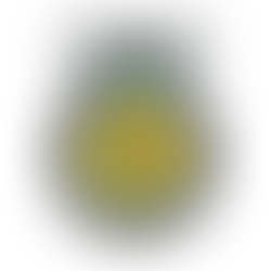 Beaverhead FFA Chapter Of Dillon, MT, Receives Highest 3-Star National Rating, Selected As A Premier Chapter National Finalist For 2024 National Chapter Award By National FFA Organization