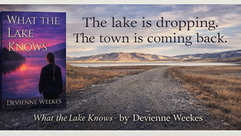Local Author to Debut Novel During Dillon Art Walk
