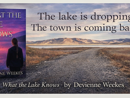 Local Author to Debut Novel During Dillon Art Walk