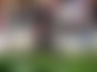 Bulldogs Dominate Senior Day with Record-Breaking 66–14 Victory