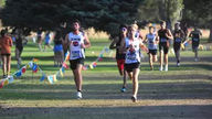 Montana Western Cross Country Releases 2026 Meet Schedule