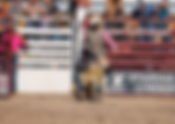 Saturday Morning Beaverhead County Fair Mutton Busting Photo Gallery