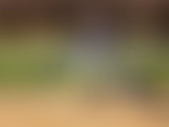 Lady Beavers Softball Take A Sting From The Yellowjackets With A 20 To 7 Loss