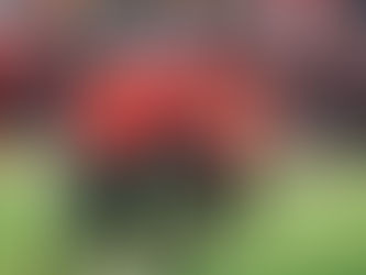 Bulldog Football Hosts NAIA Quarterfinal: Visitor Information