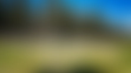 Cemetery Committee Meeting