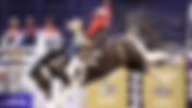Montana Western men win MSU-Northern rodeo; women place fourth