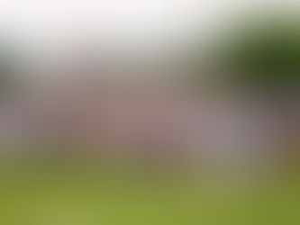 Dillon's Troy Andersen Host Football Camp For Local Youngsters (Photo Gallery & Video)