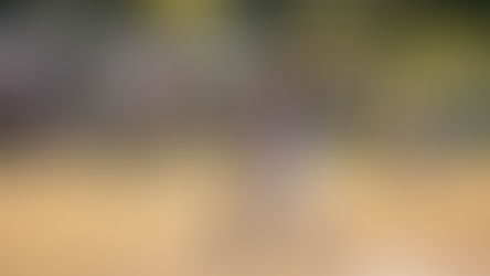 Three Lady Beavers Named Southwest A Softball All-Conference