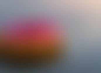 Good Samaritan Saves The Day At Clark Canyon Dam