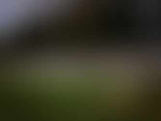 Cemetery Committee Meeting