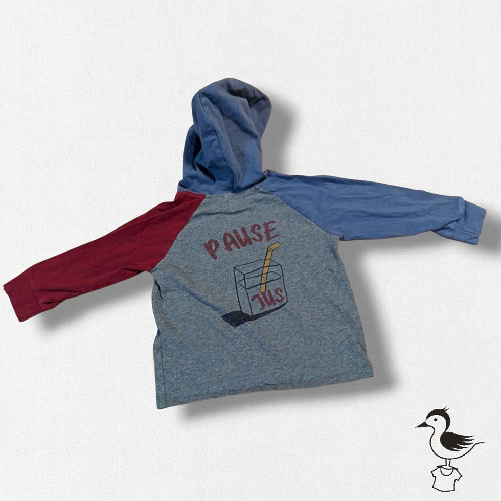 Miniature : 2 ans - BLUMIND - chandail mince à capuche - PAUSE JUS!