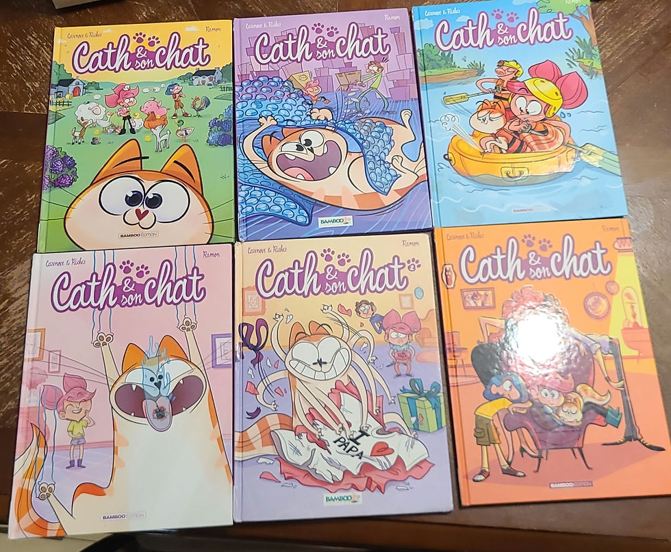 Cath et son chat (1-2-3-4-6- 9) - six BD très chouettes