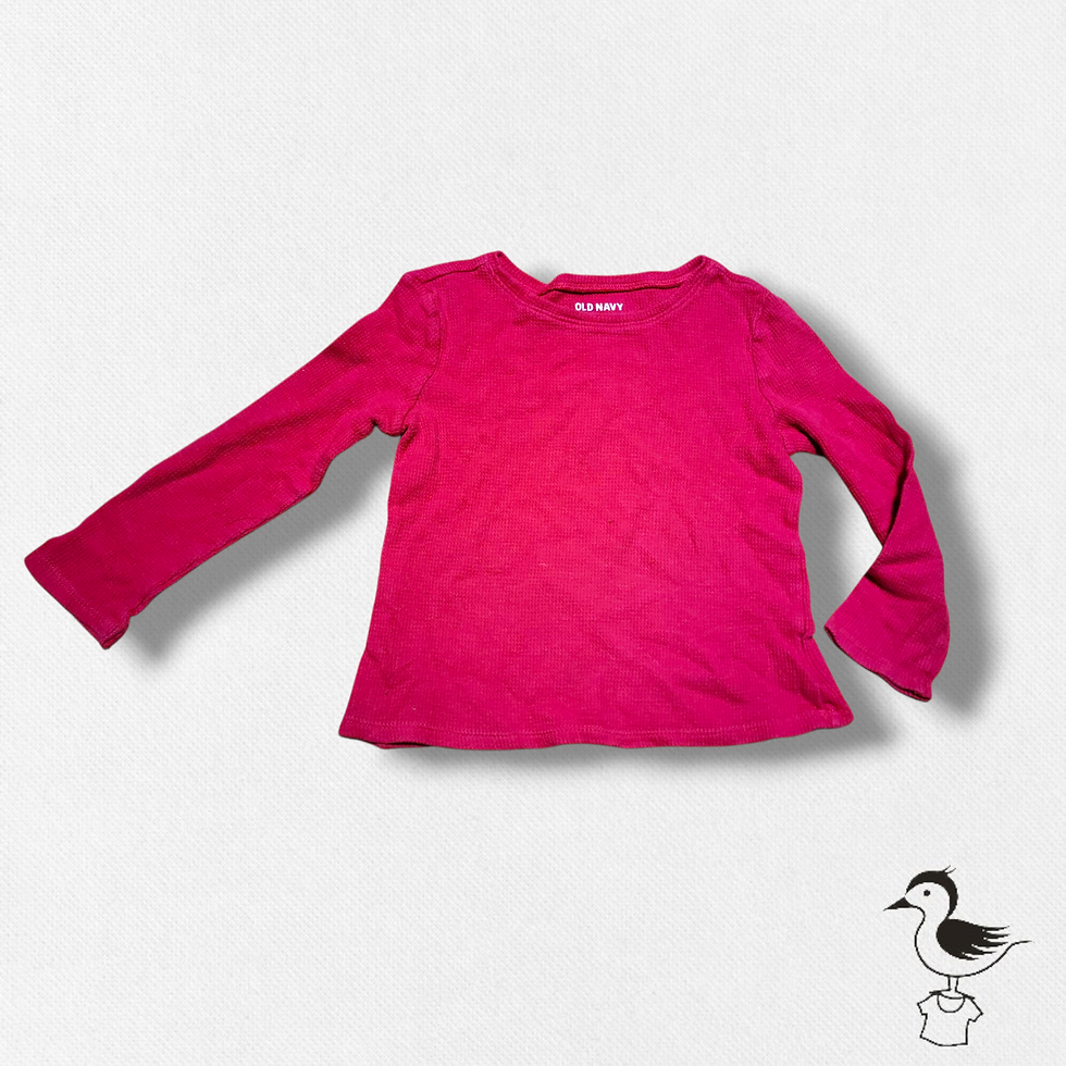 4t - OLD NAVY - chandail manches longues