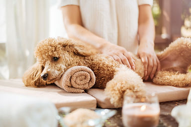 AdobeStock_214902488.jpeg
