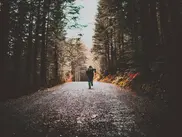 Should You Run a Full Marathon or Half Marathon?