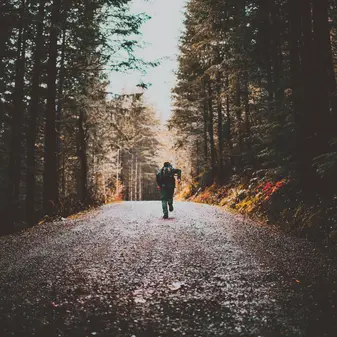 Should You Run a Full Marathon or Half Marathon?