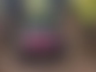 Видео-благодарность от 81-й отдельной аэромобильной бригады Десантно-штурмовых войск ВСУ