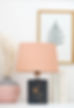 Flaschen Lampe Skin Gin mit Lampenschirm