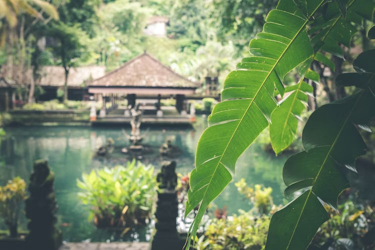 The Lokha Ubud Resort Villas & Spa