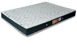 Real Master D-28 sem pillow