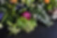 1J3B6034 fix.jpg