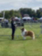 rodney at border union 25.jpg