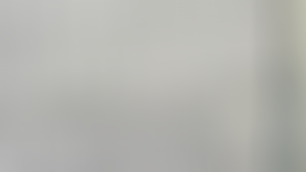 Northumberland & Durham Collie Club CH Show Results & Critiques 2025