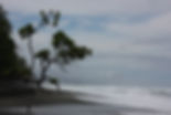 image003.jpeg