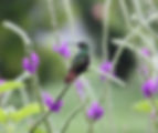 image002.jpeg