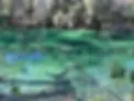 blue springs.webp